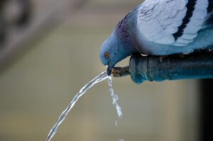 water clarity