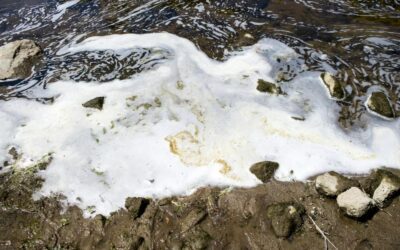 What Is PFAS, and Why Is It So Hard to Remove from Water?