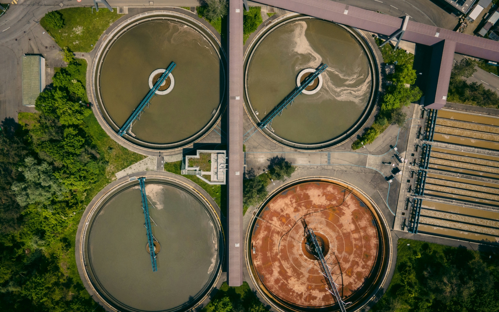 PFAS Exposure Risks: Protecting Your Water, Food, and Health