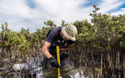 Key Components of an Erosion and Sediment Control Plan for Contractors