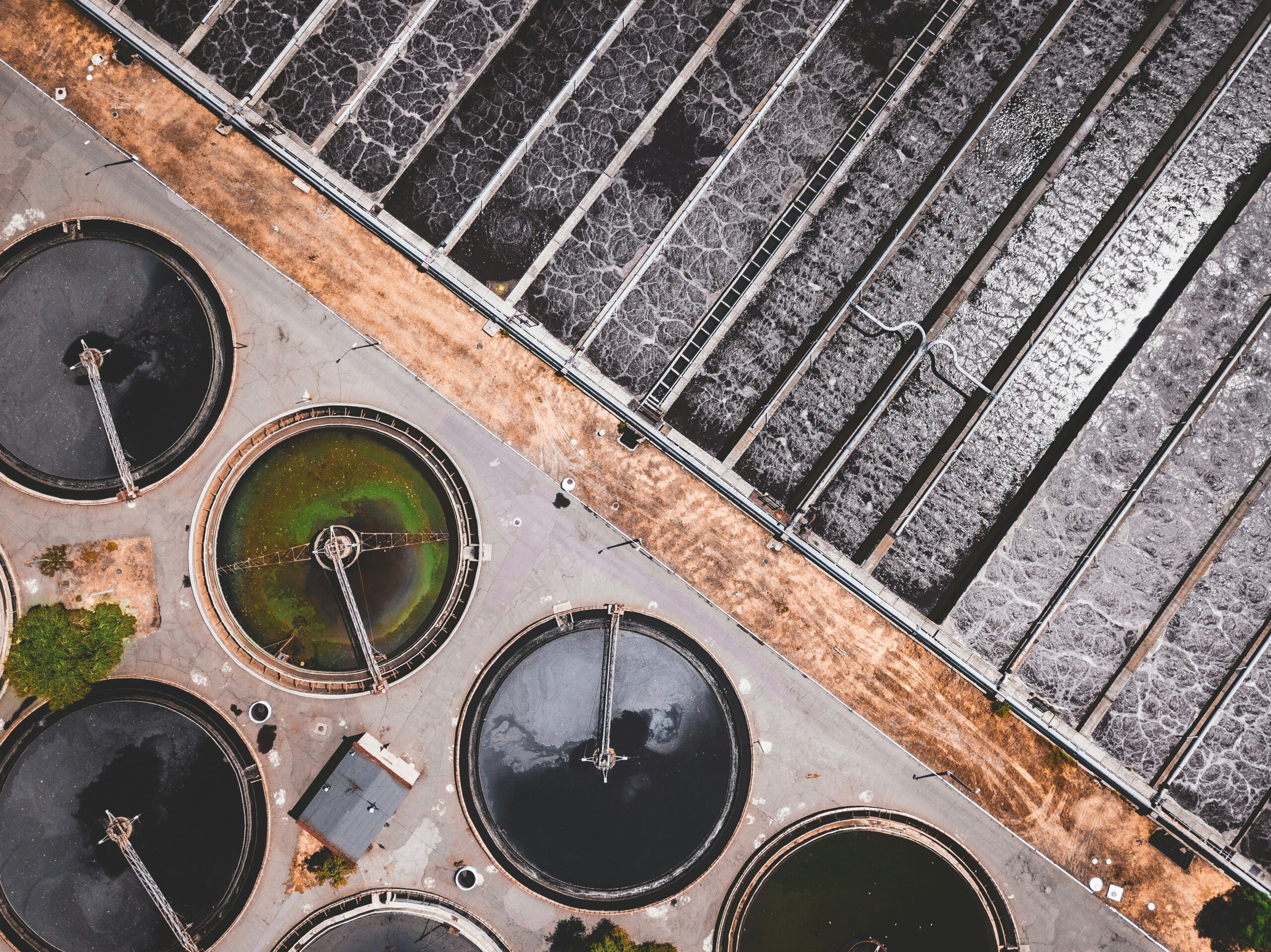 ivan bandura AcOqAWDvg unsplash