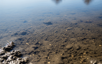 Scaling Water Treatment for Tailings Ponds