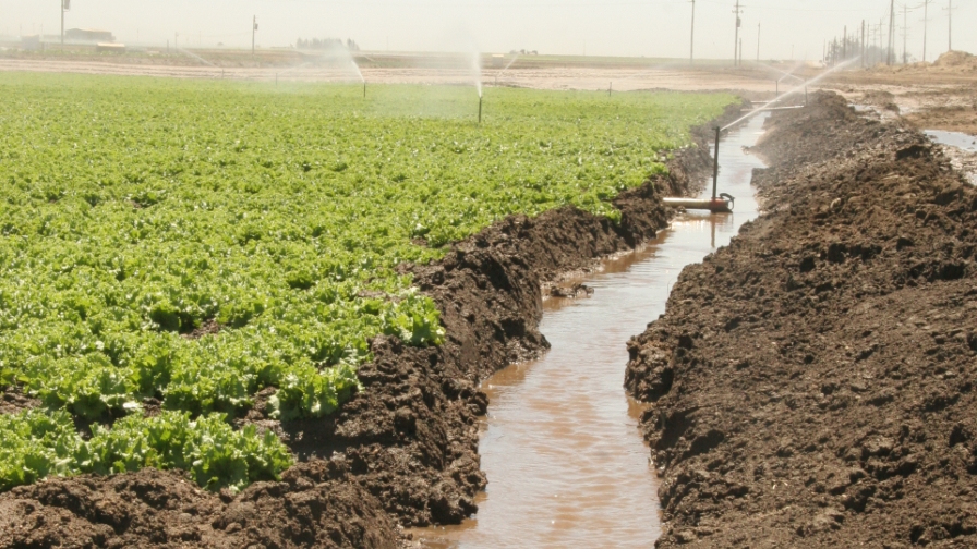Applications of Flocculants in Agriculture Runoff Control