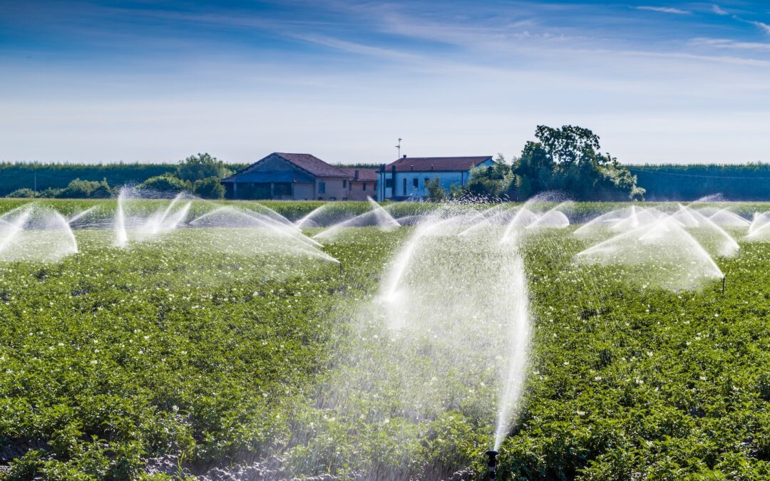 Eco-Friendly Water Treatment for Agriculture and Irrigation Projects