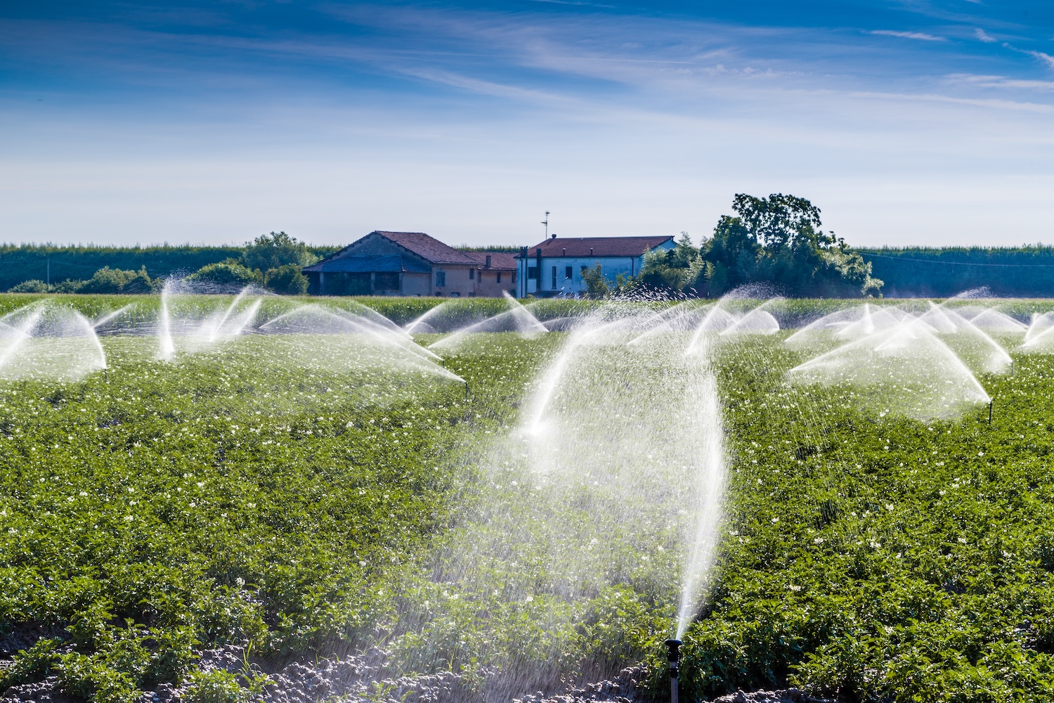 water irigation