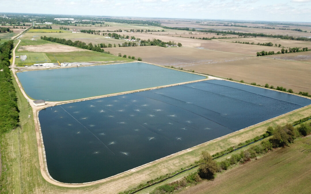 Pond and Lagoon Water Treatment: Keeping Large Systems Clear and Compliant
